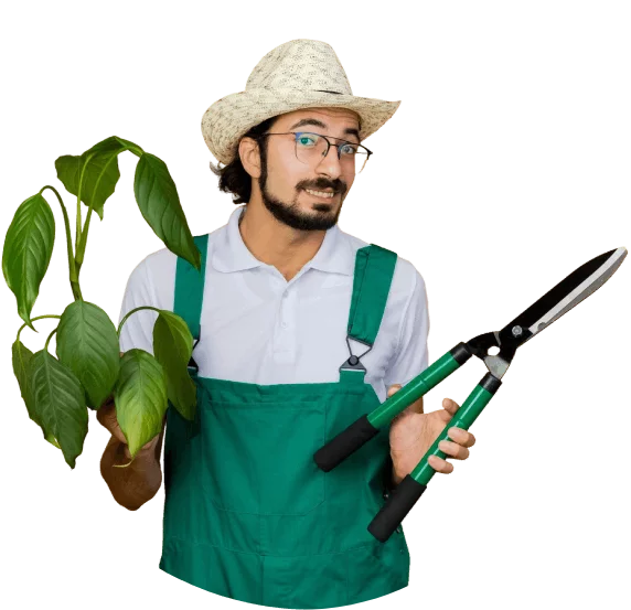 Aménagement de jardin réalisé par Arbor'&Sens Paysages à Niort